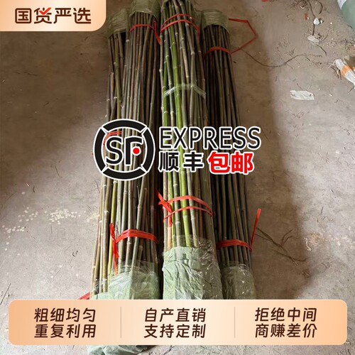 竹竿菜园搭架蔬菜黄瓜番茄豆角架杆竹篱笆栅栏小竹子细竹竿葡萄架