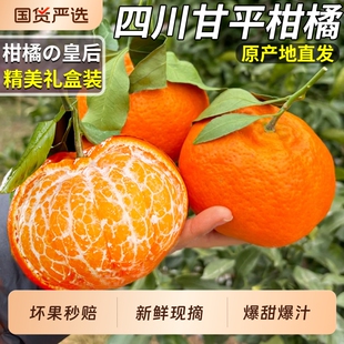 正宗四川甘平柑橘皇后小金牛新鲜水果砂大耙耙粑粑礼盒装金桔大果
