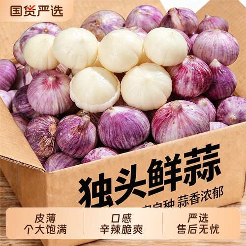 紫皮独头蒜新晒干蒜5斤包
