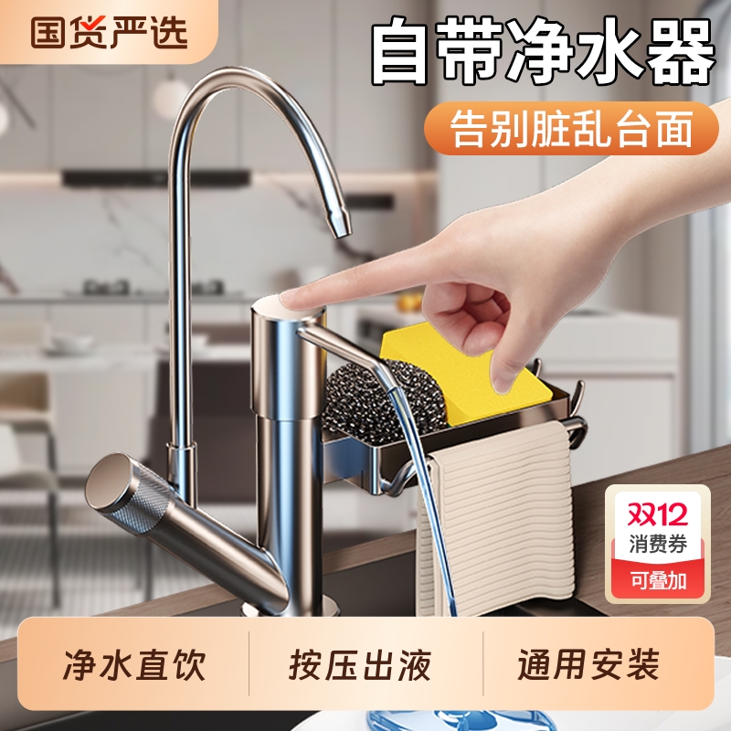 厨房水槽皂液器洗菜盆洗洁精压取器带净水龙头净化器净水器出液