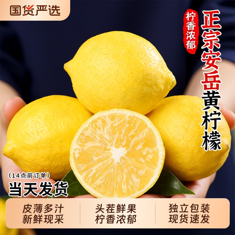 四川安岳黄柠檬新鲜水果皮薄香水甜青柠檬小金桔特产鲜柠檬鲜果