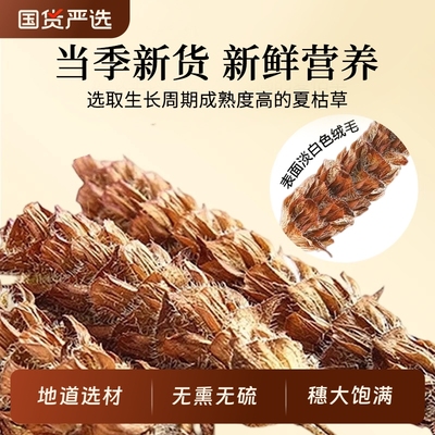 【正品夏枯草】大颗干货泡水喝