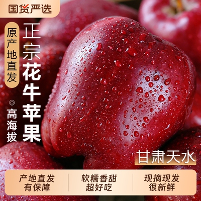 【花牛苹果10斤钜惠】软糯香甜