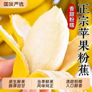 正宗苹果蕉香蕉新鲜自然熟当季小米芭蕉皇帝蕉粉蕉包邮米蕉大果