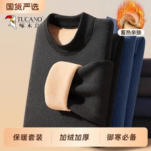 啄木鸟德绒保暖内衣男士加绒加厚羊羔绒男款秋衣秋裤套装秋冬季