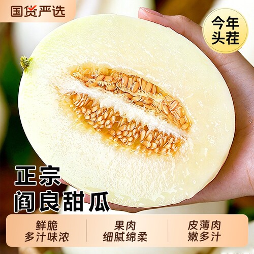陕西阎良甜瓜9斤新鲜脆甜多汁