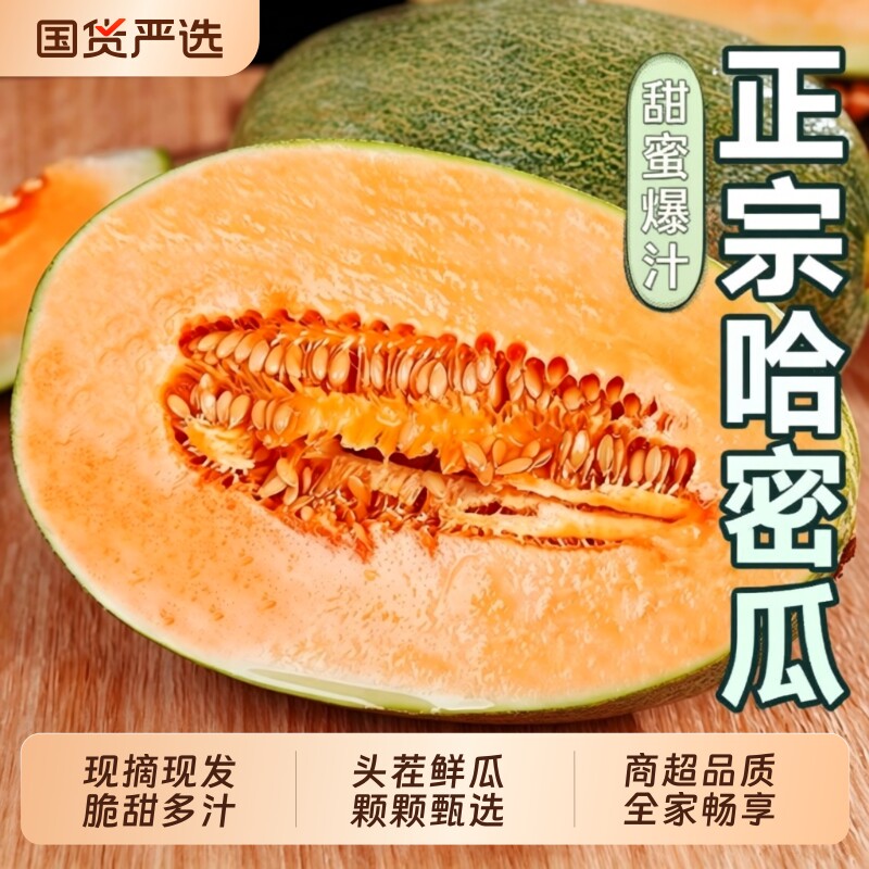 金币到手9.6！哈密瓜3斤