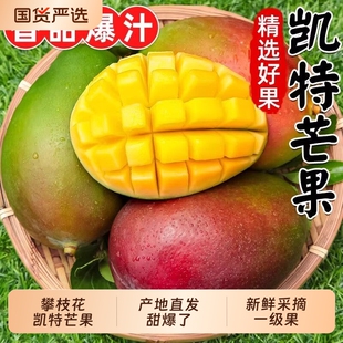 四川攀枝花凯特芒果当季新鲜水果彩虹芒大青吉禄芒果整箱大果国货