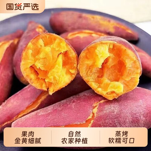 河南板栗红薯地瓜新鲜番薯沙地蜜薯龙九蔬菜农家自种现发烧烤早餐