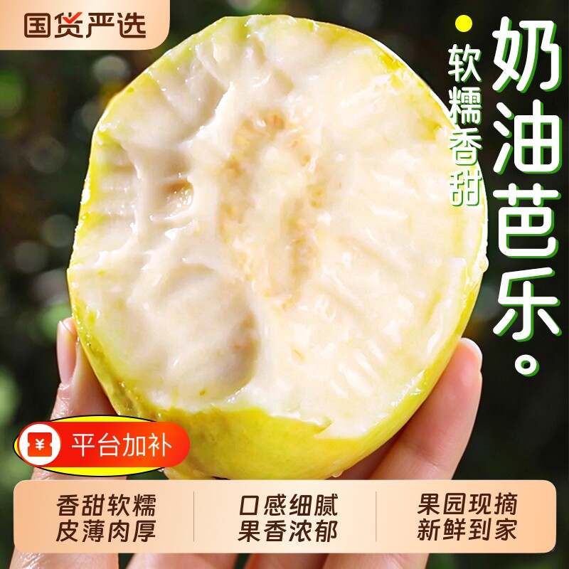 白心奶油芭乐软糯番石榴新鲜水果冰淇淋口感现摘应当季整箱包邮