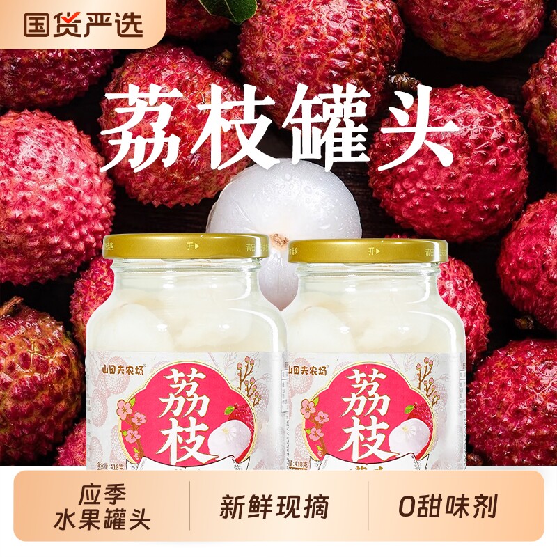 荔枝罐头418g*2罐水果罐头去核黄桃新鲜大罐菠萝杨梅农场山田鲜果