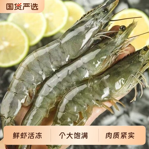 青岛大虾特大白虾冷冻鲜对虾速冻海虾鲜活基围虾海鲜水产