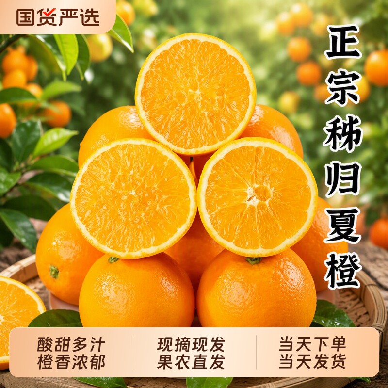 湖北秭归脐橙新鲜橙子水果当季现摘夏橙冰糖甜橙大果整箱包邮直发图片