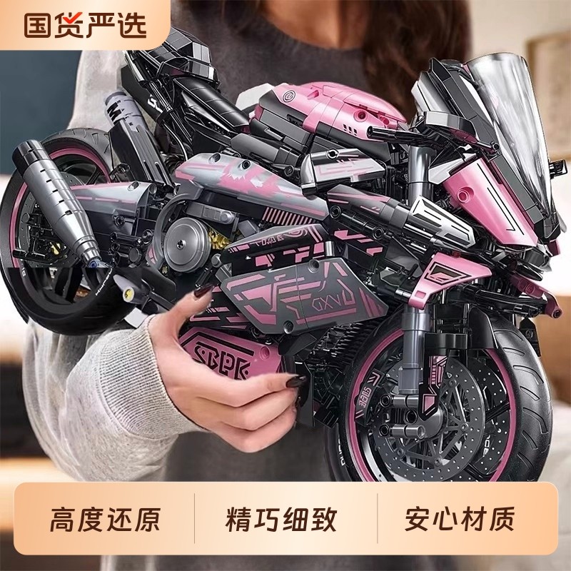 星涯优品赛博宝马摩托车高难度拼装积木模型摆件男孩礼物6岁9玩具