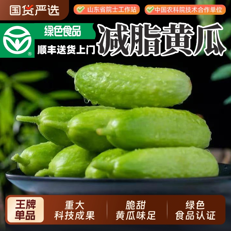 新品种减脂黄瓜顺丰包邮