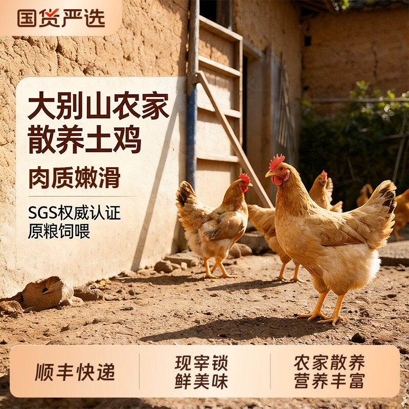 大别山三黄鸡农家散养土鸡走地鸡新鲜现杀整只童子鸡冷链保鲜母鸡