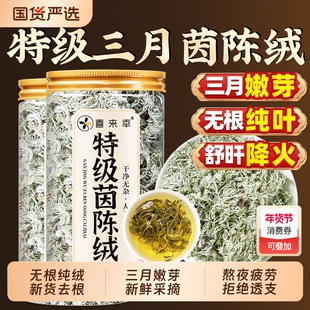 五味子茵陈中药材野生新货正品官方旗舰店三月棉白蒿泡水新鲜整颗