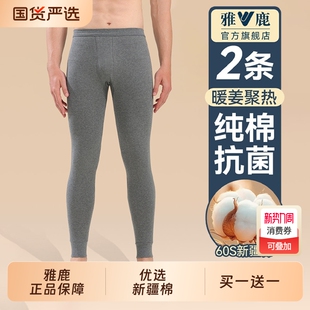纯棉全棉薄款 保暖裤 冬季 秋裤 线裤 男款 棉毛裤 雅鹿男士 男生打底棉裤