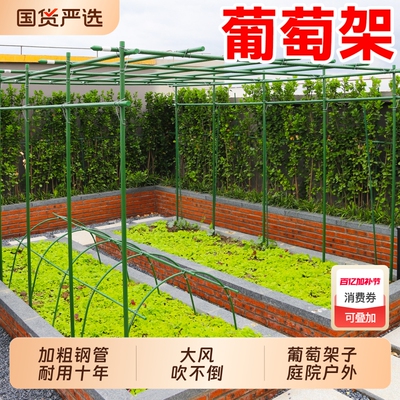 葡萄架子庭院户外百香果爬藤架