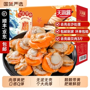 箱 天海藏去壳扇贝肉无冰衣无沙净重1.5kg 带黄肉厚饱满 3斤