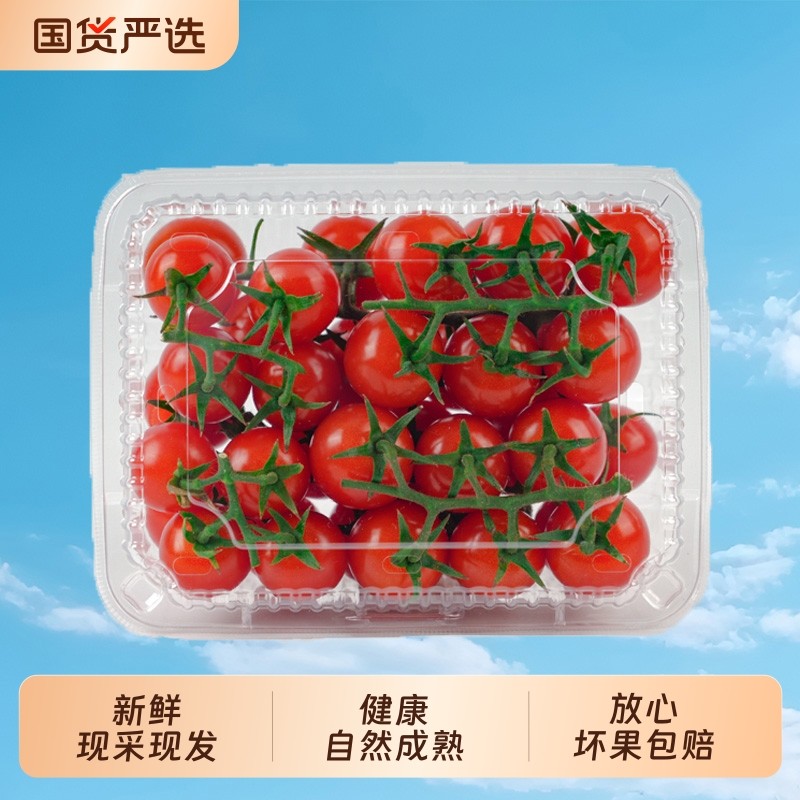 柿一家串收樱桃番茄新鲜水果千禧圣女果小西红柿绿色健康,水产肉类/新鲜蔬果/熟食,番茄,淘宝优惠券,粉丝福利购,淘宝优惠卷