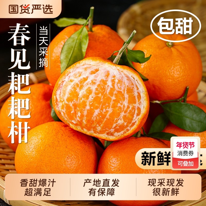 四川春见耙耙柑新鲜水果当季整箱正宗橘子丑柑橘粑粑大果包邮采摘,水产肉类/新鲜蔬果/熟食,桔子,淘宝优惠券,粉丝福利购,淘宝优惠卷