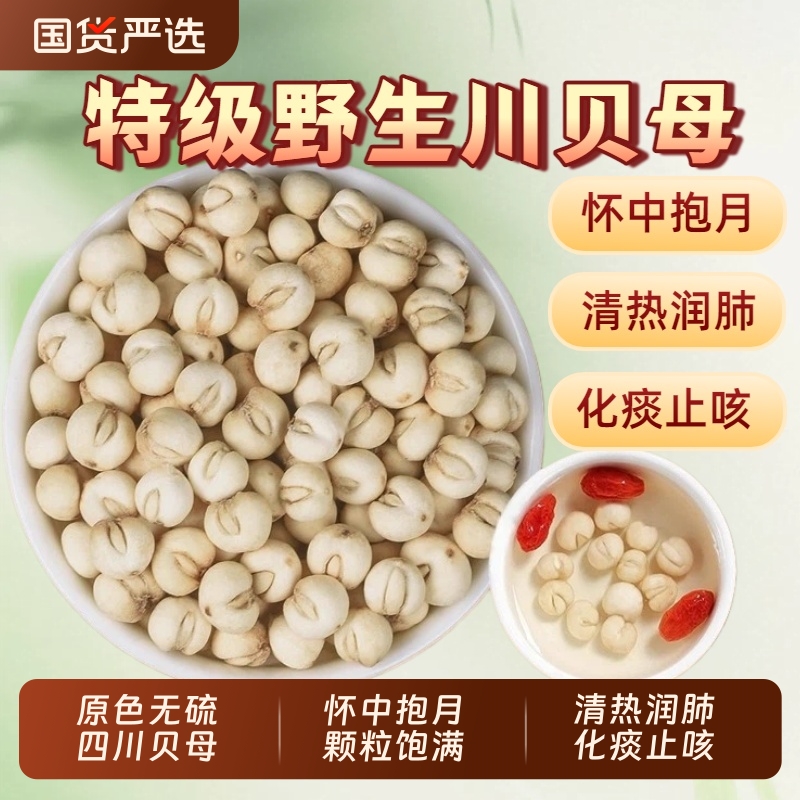 正宗野生特级四川贝母中药材无硫儿童止咳化痰川贝母泡水清热润肺