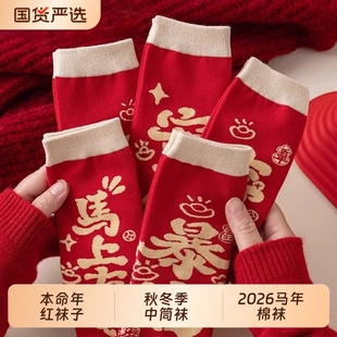 马年本命年大红袜子情侣款 秋冬中筒袜ins国潮文字新疆棉新年长袜