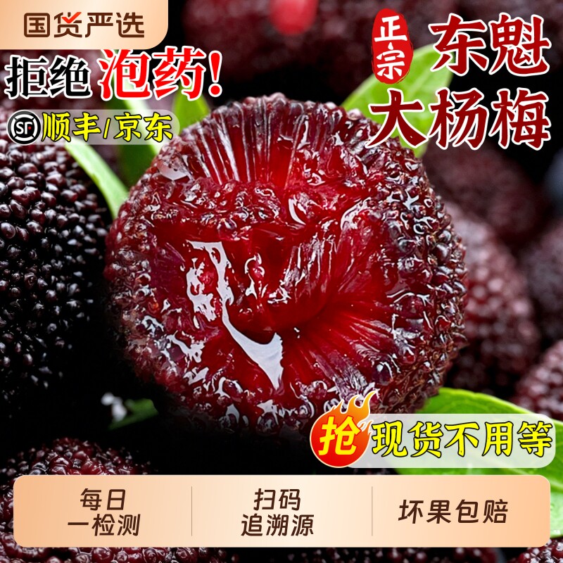 顺丰包邮正宗东魁大杨梅颗粒装当季新鲜现摘现发孕妇水果整箱包邮