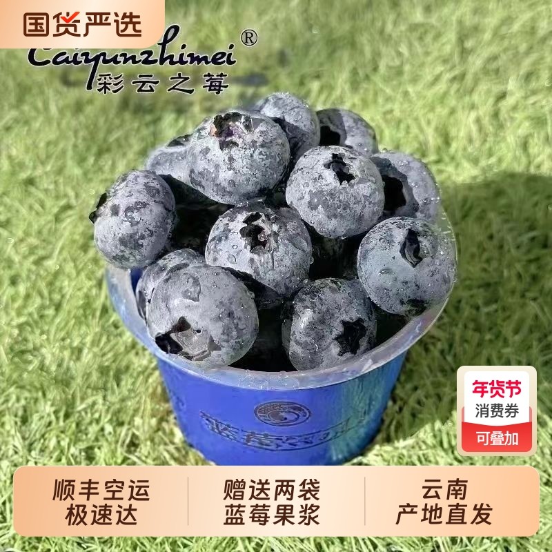 【顺丰空运】云南蓝莓礼盒【送蓝莓原浆】小蓝杯60g/杯*8杯批发,水产肉类/新鲜蔬果/熟食,蓝莓,淘宝优惠券,粉丝福利购,淘宝优惠卷