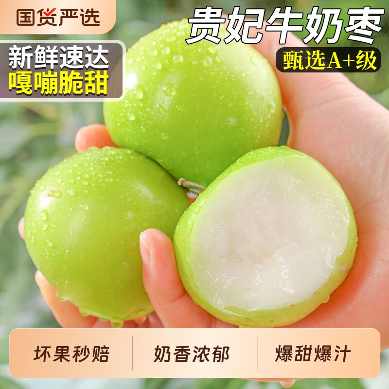 贵妃牛奶枣新鲜水果大青枣福建当季现摘苹果大枣脆甜礼盒整箱包邮