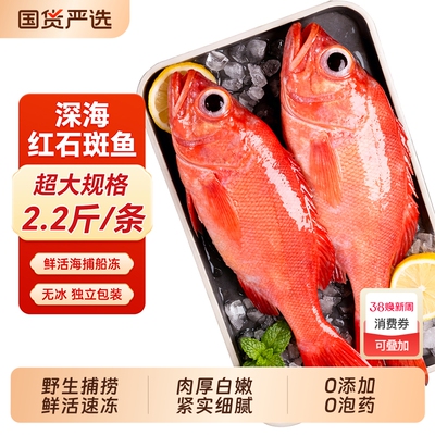 红石斑鱼礼盒鲜活冷冻超大红鱼龙胆深海富贵鱼非东星斑新海鲜水产