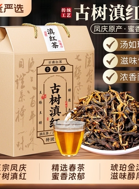 古树滇红云南凤庆正宗滇红茶2025新茶红茶浓香型散茶礼盒蜜香盒装