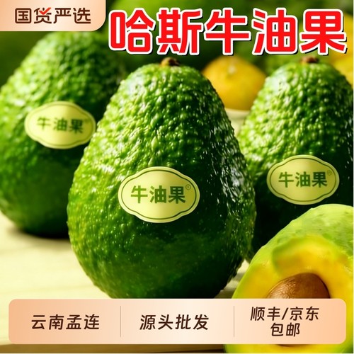 【X-PLUS】云南孟连哈斯牛油果新鲜水果应当季一级鳄梨顺丰包邮