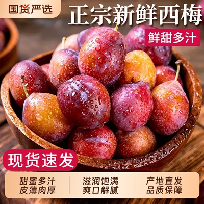 【正宗新鲜西梅5斤装】鲜甜多汁