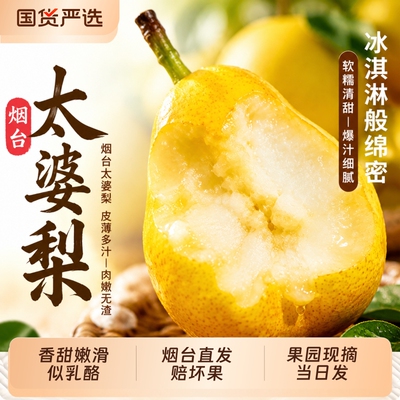 【烟台太婆梨新鲜水果产地直发】