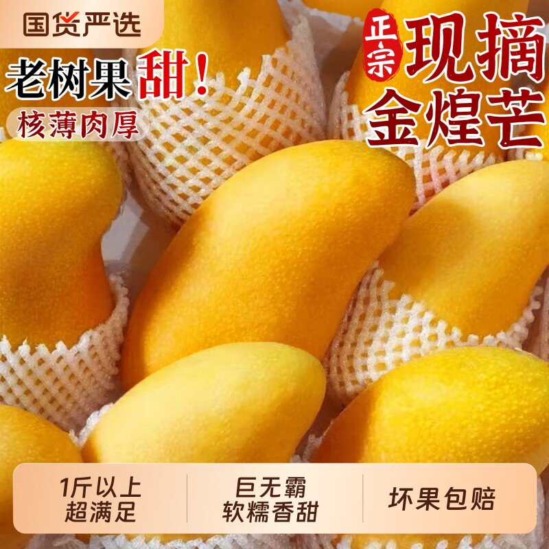 正宗金煌芒果新鲜水果当季整箱9斤批发特大果现摘香甜水仙芒包邮