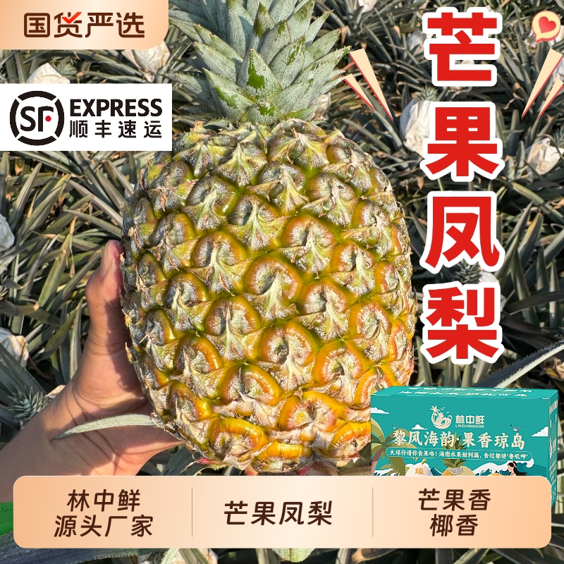 树上熟芒果凤梨林中鲜厂家直送