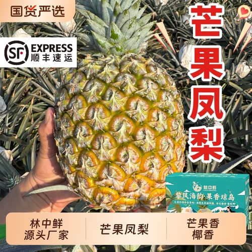 树上熟芒果凤梨林中鲜厂家直送