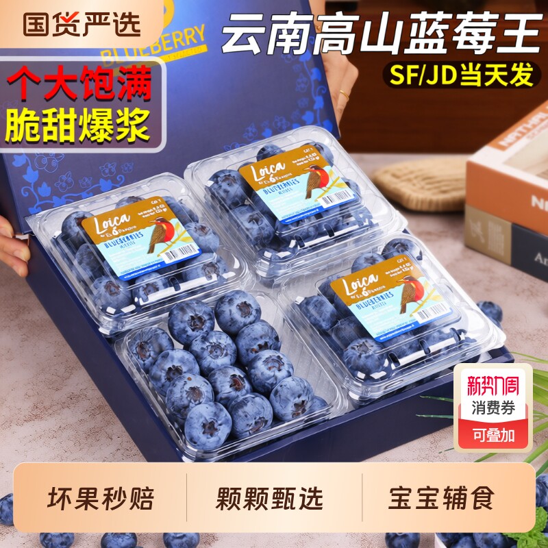 云南高山蓝莓王鲜果应当季孕妇新鲜水果怡颗野果整箱包邮大果花香