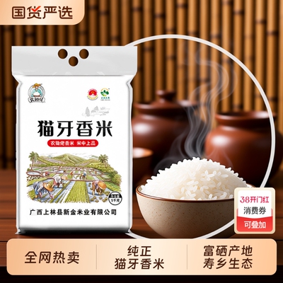 正宗猫牙香米广西寿乡上林特产农家晚稻籼米新米细长大米真空生态