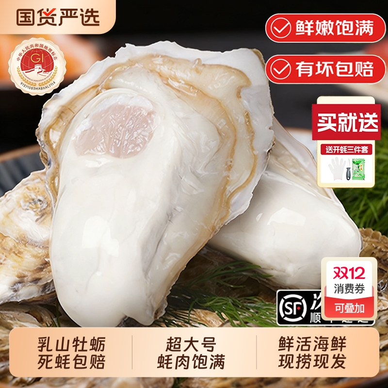 乳山牡蛎鲜活乳山生蚝5XL海鲜