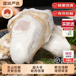 乳山牡蛎乳山生蚝5XL净重9斤生鲜海鲜鲜活海蛎子烧烤食材源头直发