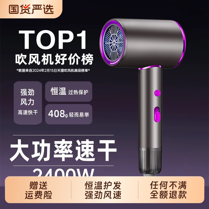 德系吹风机负离子护发恒温速干家用大风力理发店强力电吹风筒静音