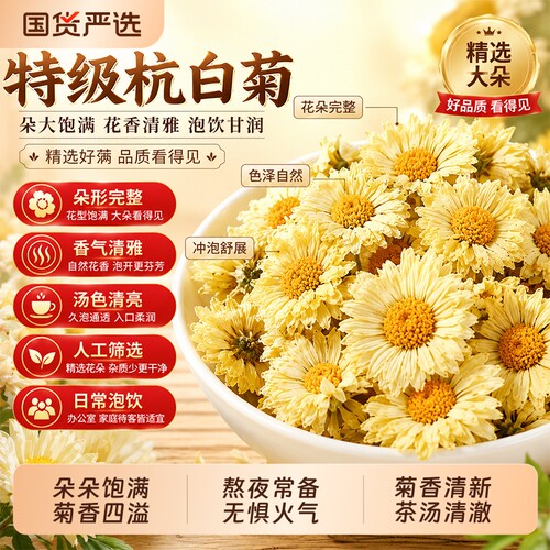 杭白菊特级正品菊花茶桐乡无硫头茬白菊花去火清热解熬夜毒泡水喝