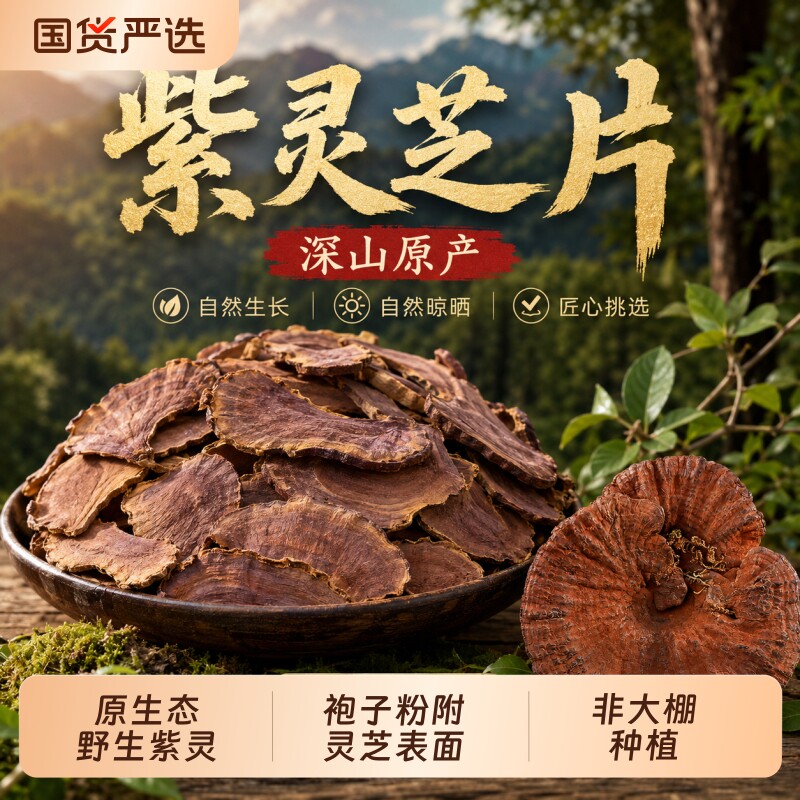 老农采摘正宗野生紫灵芝特级整枝正品野生灵芝干货金边可切片泡酒