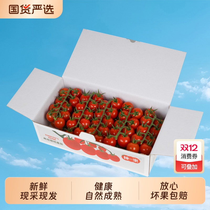 柿一家串收樱桃番茄新鲜水果千禧圣女果小西红柿绿色健康一颗