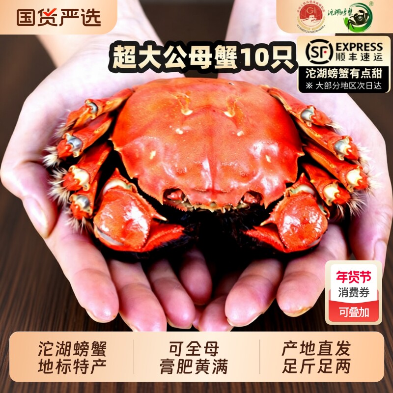 鲜活沱湖螃蟹现货大闸蟹鲜活10只特大螃蟹礼盒淡水水产地标特产