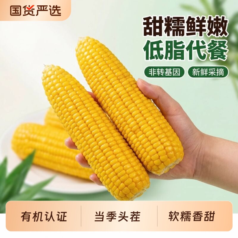 5斤头茬非转基因黄糯玉米新鲜糯甜非即食 东北苞米 真空装包装袋
