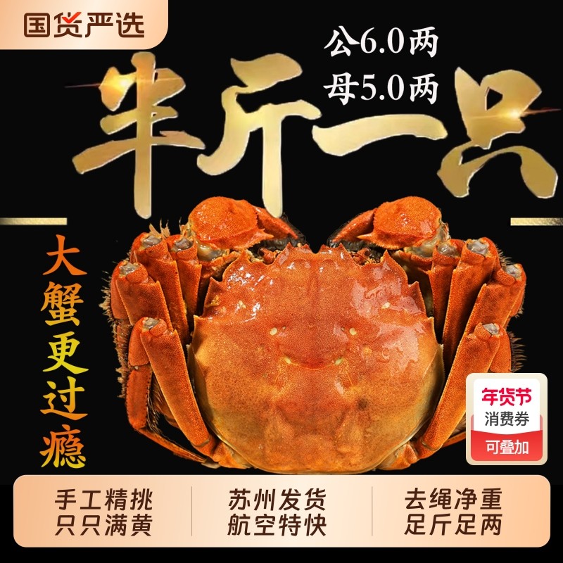 大闸蟹只只满黄阳澄后荡湖鲜活螃蟹全母公超特大5两水产活蟹送礼